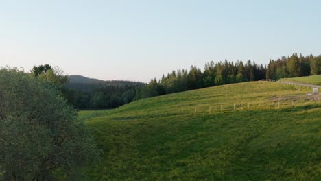 Abfallende-Hügel-Und-üppige-Waldberge-In-Der-Nähe-Der-Landschaft