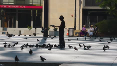 Un-Joven-En-Silueta-Se-Divierte-Con-Las-Palomas-En-Un-Día-Soleado-En-La-Ciudad