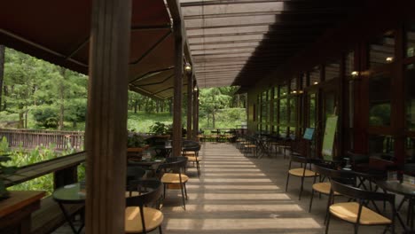 Beautiful-wooden-terrace-of-a-cafe-with-a-view-on-lush-forested-park-with-a-lake-on-a-bright-sunny-day