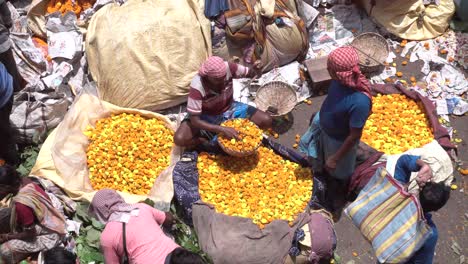 Stock-footage-at-Asia's-largest-flower-market