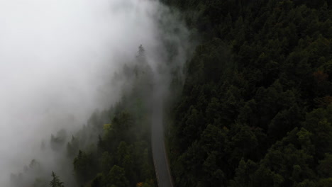 Drone-shot-tracking-a-vehicle-on-a-misty,-woodland-road-in-Dolomites,-Italy