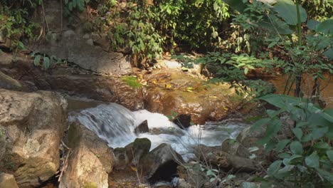 Detail:-Small-mountain-jungle-stream-flows-over-rocky-forest-ground