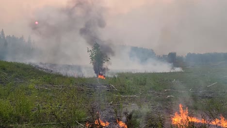 Grassland-wildfire-rages-along-spreading-red-flames-and-dark-smoke-into-sky