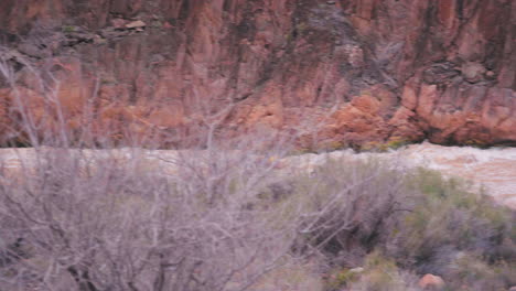 Tourists-Whiteriver-Rafting-At-The-Grand-Canyon-Granite-Rapid-In-Arizona,-USA
