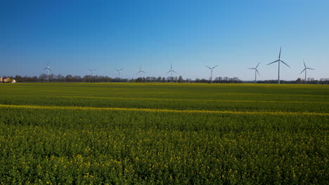 Wind-turbines-spin-in-the-distance-behind-green-yellow-farmland-field