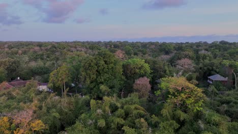 Drone-clip-moving-forwards-into-dense-Indonesian-jungle-at-sunset-with-pastel-colored-sky,-showing-ecotourism-resort