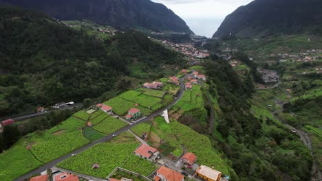 Pueblo-De-Drones,-Bosque-Después-De-La-Lluvia,-Madeira,-Portugal