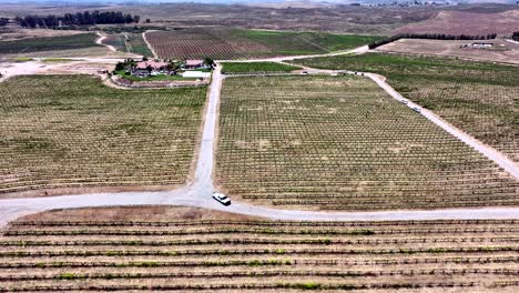 Aerial-View-of-White-Truck-Moving-on-Road-in-Middle-of-Vineyard,-Countryside-of-California-USA
