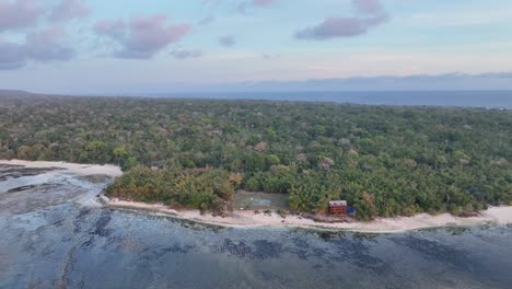 Drone-shot-of-coral-reef-and-dense-jungle-of-Alas-Purwo-National-Park-on-tropical-Indonesian-island,-Java,-moving-forward-and-showing-the-edge-of-a-surf-camp