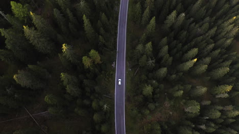 Aerial-view-following-a-car-on-a-asphalt,-woods-road,-sunset-in-South-Tyrol,-Italy