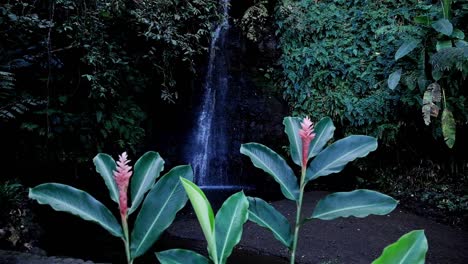 Tropical-forest-scene-with-waterfall-cascading-and-lush-plants-and-flowers
