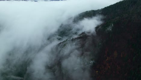 drone-aerial,-Misty-forest-autumn-after-rain,-hills-and-mountains