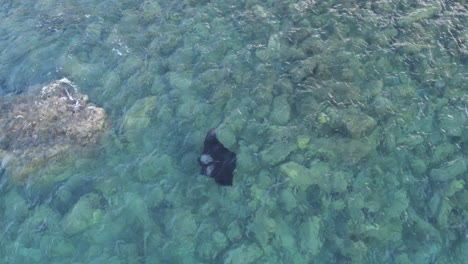 Manta-Ray-in-the-Caribbean-Sea,-captured-in-Slow-Motion-by-drone,-in-4K