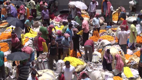 Stockvideos-Auf-Asiens-Größtem-Blumenmarkt