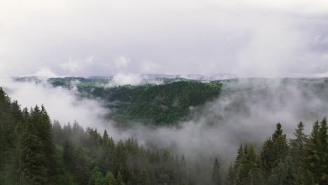 Aerial-view-above-mountain-valley-with-pine-tree-forest-in-misty-morning,-Transylvania,-Romania