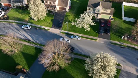 Aerial-Drone-Tracks-a-White-Car-Driving-Through-an-American-Urban-Neighborhood,-Residential-Area,-Spring-in-USA