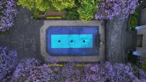 Aerial-view-above-a-fountain-in-middle-of-buildings-and-blooming-Jacaranda-trees-in-Mexico-city