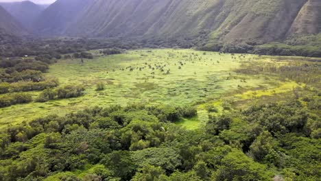 Filmische-Drohnen-Enthüllung-Des-Vielfältigen-Geländes-Des-Waipi&#39;o-Tals-Unter-Einem-Gesprenkelten-Sonnen--Und-Wolkenhimmel-Auf-Hawaiis-Großer-Insel