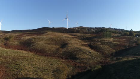 Wind-turbines-producing-alternative-energy