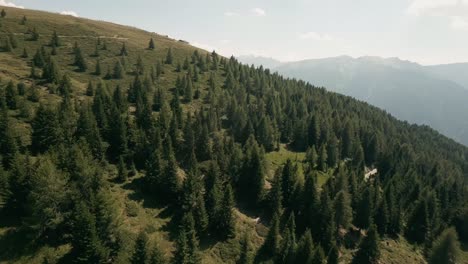 Thrilling-drone-flight-builds-tension-as-it-navigates-closely-between-trees,-revealing-an-enchanting-wooden-hut-and-breathtaking-Dolomite-mountain-views
