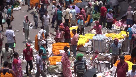 Stockvideos-Auf-Asiens-Größtem-Blumenmarkt