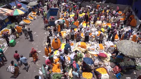 Stockvideos-Auf-Asiens-Größtem-Blumenmarkt