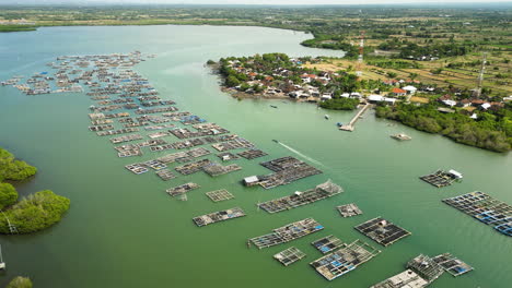Lobster-industrial-farms-floating-on-lake-in-Lombok,-Indonesia