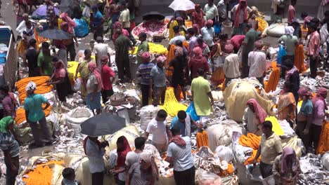 Stockvideos-Auf-Asiens-Größtem-Blumenmarkt-Jagannath-Ghat