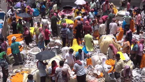 Imágenes-De-Archivo-En-El-Mercado-De-Flores-Más-Grande-De-Asia,-Jagannath-Ghat.