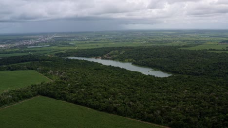 Right-trucking-aerial-drone-shot-of-a-large-river-surrounded-by-a-large-tropical-exotic-jungle-forest-next-to-large-fields-of-sugar-cane-in-Tibau-do-Sul,-Rio-Grande-do-norte,-Brazil-on-an-overcast-day