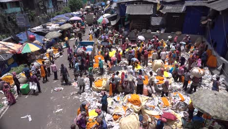 Stock-footage-at-Asia's-largest-flower-market