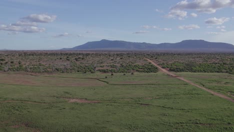 Drohnenweitwinkelaufnahme-Von-Roten-Elefanten,-Die-Im-Tsavo-Nationalpark-Grasen