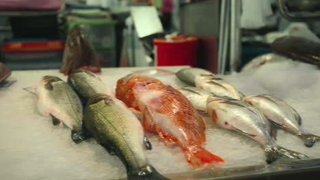 Frischer-Fisch-Auf-Einem-Fischmarkt,-Meeresfrüchte