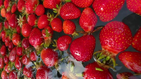 Erfreuen-Sie-Sich-Am-Anblick-Frischer-Erdbeeren,-Die-Sanft-In-Brunnenwasser-Gewaschen-Werden