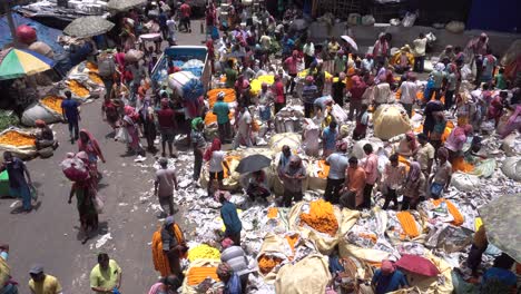 Stock-footage-at-Asia's-largest-flower-market