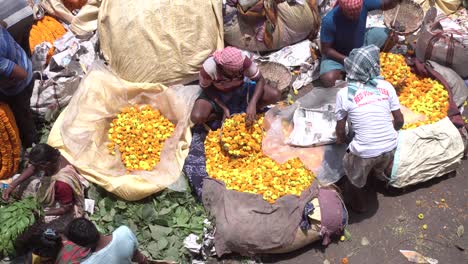 Stock-footage-at-Asia's-largest-flower-market