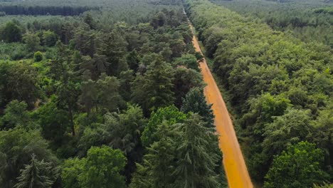 aerial-view-of-a-road-inside-a-jungle-with-full-of-green-big-trees-of-the-both-side-in-the-morning
