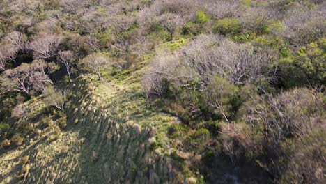 Calm,-peaceful-and-relaxing-drone-aerial-footage-overflying-a-rural-landscape-towards-a-valley-of-green-hills-and-mountains,-Monteverde,-Costa-Rica