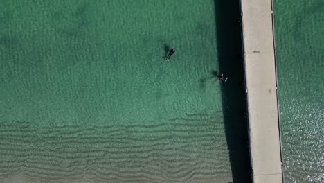 Aerial-top-down-shot-of-scuba-diving-training-near-jetty-at-beach-of-Perth,-Australia---Establishing-drone-shot