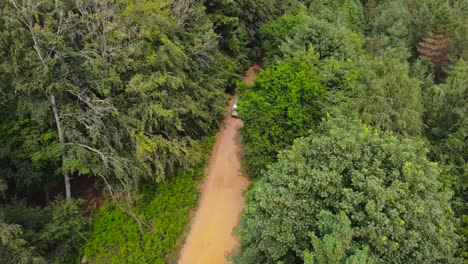 Aerial-view-of-a-car-moving-towards-a-road-inside-of-a-jungle-full-of-green-trees-on-both-sides-in-the-morning