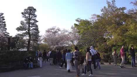 KYOTO,-JAPAN---April-3,-2023:-Tourist-walking-in-Kiyomizu-dera-temple