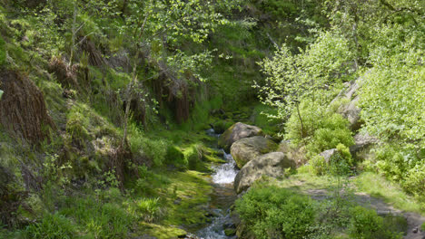 Wunderschöne-Black-Clough-Falls-–-Atemberaubender-Wasserfallspaziergang-Im-Peak-District,-Großbritannien
