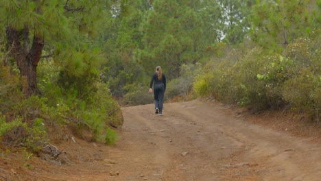 Una-Toma-Cinematográfica-Lenta-De-Una-Mujer-Caminando-Por-Un-Sendero-Forestal-En-El-Valle-De-Guimar-En-La-Isla-Canaria-De-Tenerife