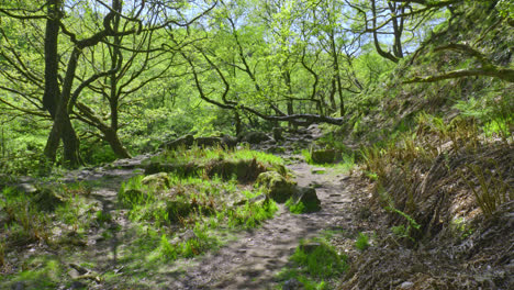 Wunderschönes-Naturschutzgebiet-Wyming-Brook-–-Atemberaubender-Wasserfall-Spaziergang-In-Der-Nähe-Von-Sheffield,-Yorkshire,-Großbritannien