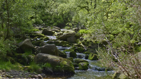 Wonderful-Wyming-Brook---stunning-waterfall-walk-near-Sheffield-Yorkshire,-UK