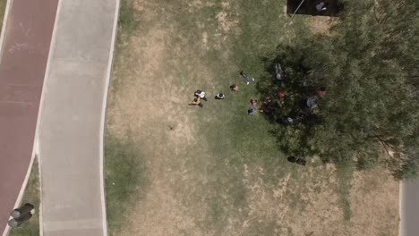 Group-of-young-children-playing-outside-on-lawn,-aerial-top-down-static-view