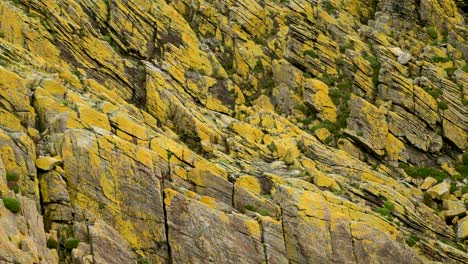 Rocas-Cubiertas-De-Musgo-Amarillo-En-El-Acantilado-Del-Océano-Escocés