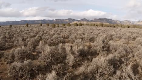 Slow-Motion-Forward-Dolly-Shot-of-Desert-Valley-with-Distant-Mountains-in-Utah