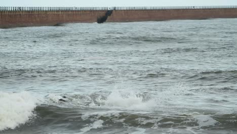 Paddling-out-on-waves-next-to-Roker-pier