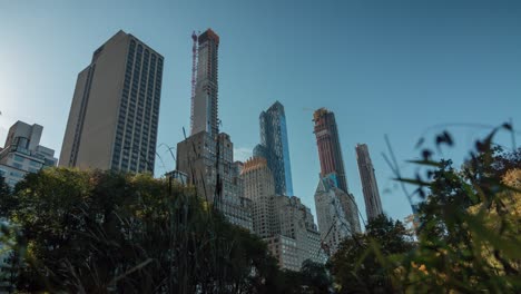 Lapso-De-Tiempo-De-Rascacielos-Con-Pincel-En-Primer-Plano-Desde-Central-Park-En-Manhattan